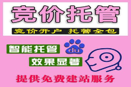 百度搜索广告优化：案例教学提升广告转化率